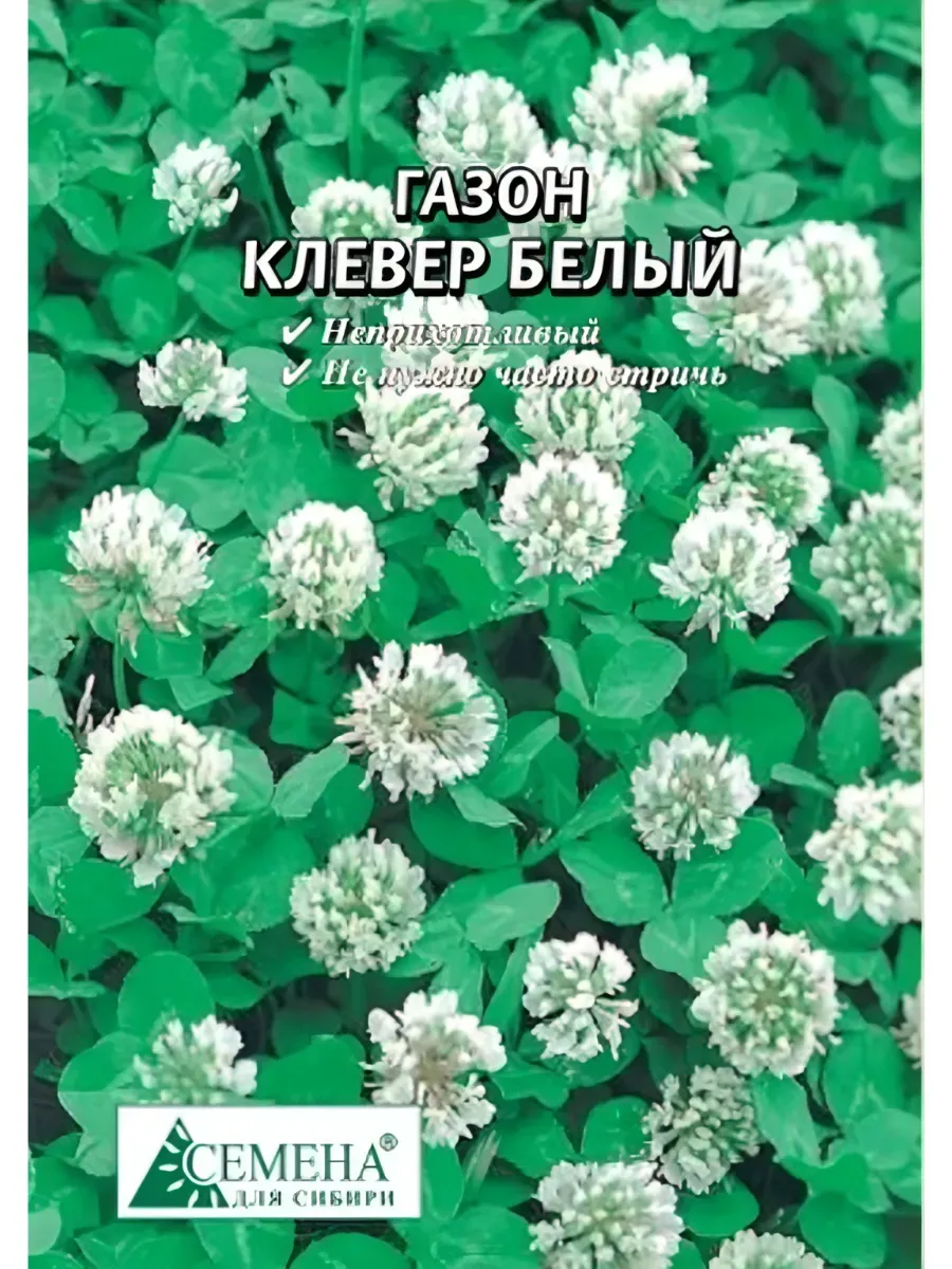 Семена Газон Клевер белый