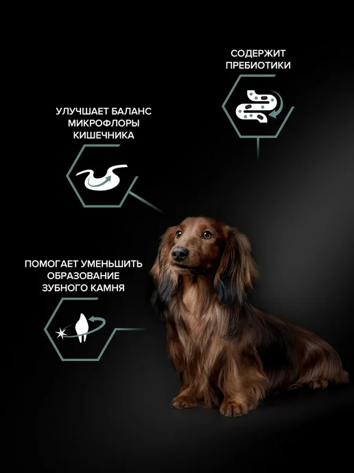 Сухой корм PRO PLAN Карликовых для собак, мелкие, чувствительное пищеварение, 7,1 кг, фото 3