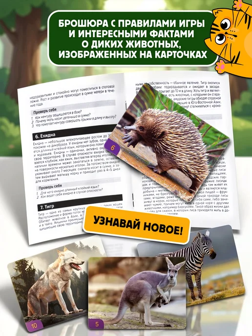 Десятое королевство игр Игра настольная МЕМО "Мир животных", фиолетовый, фото 4