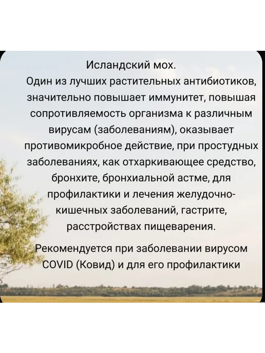 Данила Травник Исландский мох для повышения иммунитета (60гр.), 60 г, фото 2