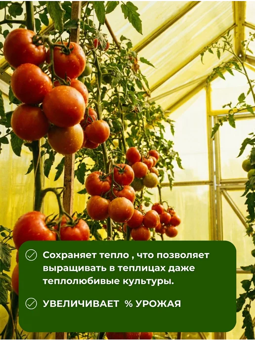 ГОСТ желтая КЛОС Пленка для теплиц желтая ГОСТ 200мкм 6х8м, 6x8 м, фото 4