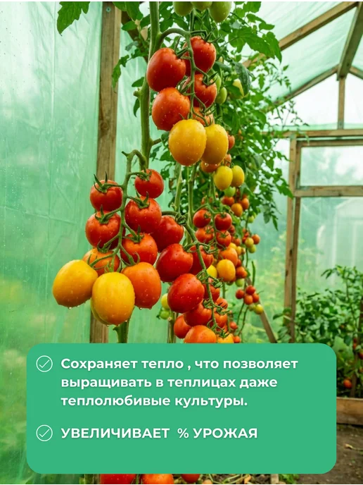 ГОСТ зеленая КЛОС Пленка для теплиц и парников зеленая ГОСТ 150мкм 6х8м, 8 м, фото 4