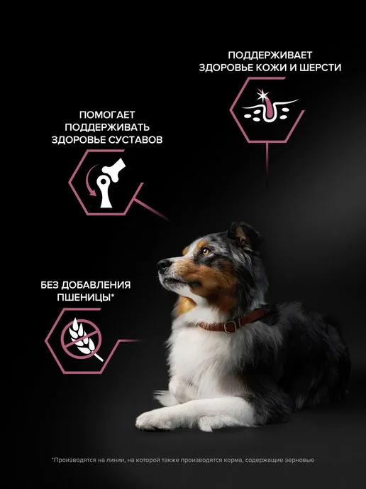 Сухой корм PRO PLAN Кожей для собак, средние, чувствительное пищеварение, 14,1 кг, фото 3