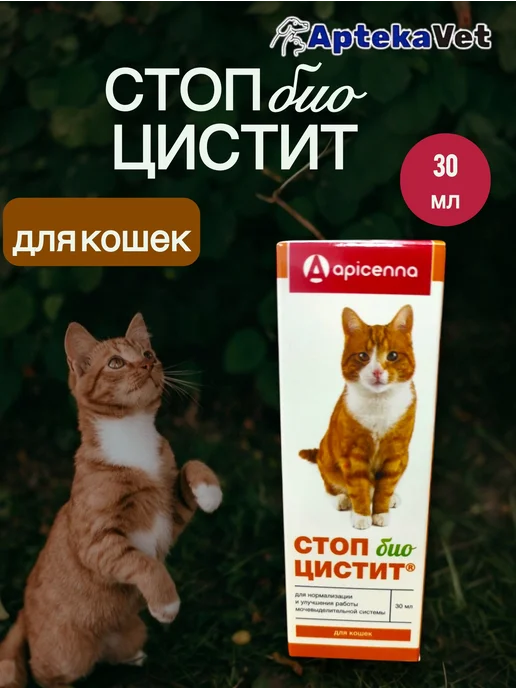 Стоп-цистит био суспензия для кошек (30 мл), 30 мл