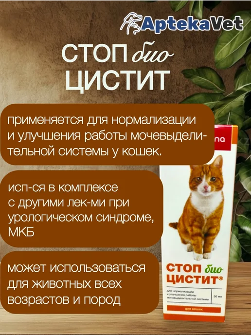 Стоп-цистит био суспензия для кошек (30 мл), 30 мл, фото 2