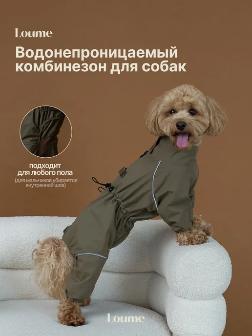 Loume Комбинезон для собак, вариант
