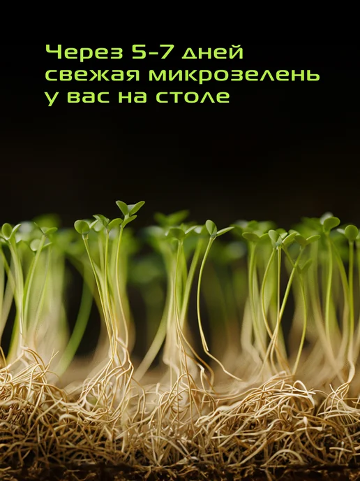 red solution Набор джутовых ковриков для выращивания NJK-15, красный, фото 3
