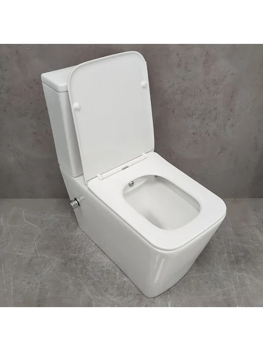 Bloomix Унитаз S-Line 5017SB безободковый с биде, вариант, фото 3