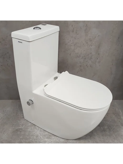 Bloomix Унитаз Mono A5011R UF1 моноблок безободковый с биде, вариант, фото 3
