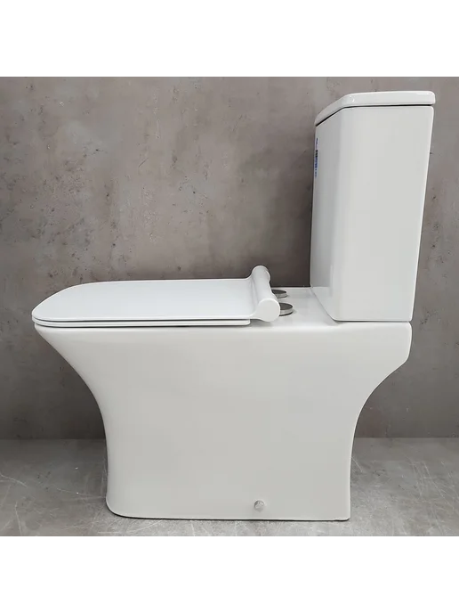 Bloomix Унитаз Bern AS5023SB UF1 безободковый с биде, вариант, фото 8
