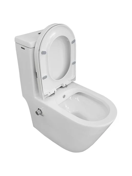 Bloomix Унитаз Mono CH5075SB UF2 моноблок безободковый с биде, вариант