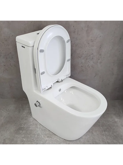 Bloomix Унитаз Mono CH5075SB UF2 моноблок безободковый с биде, вариант, фото 2