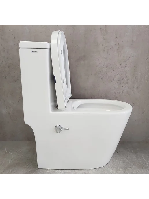Bloomix Унитаз Mono CH5075SB UF2 моноблок безободковый с биде, вариант, фото 5