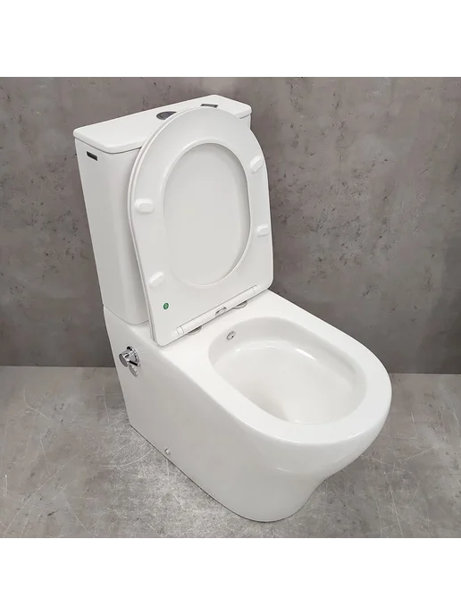 Bloomix Унитаз Barron AD3091TSB UF1 безободковый торнадо с биде, вариант, фото 2