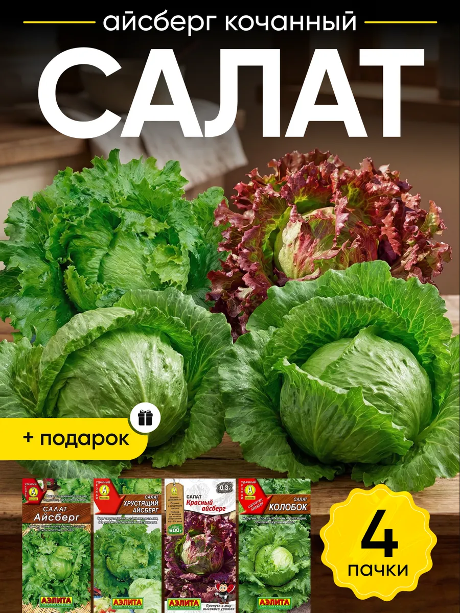 Семена салата айсберг кочанного