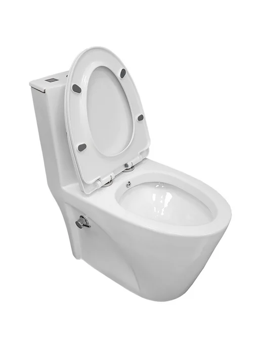 Bloomix Унитаз Mono MD5015SB моноблок безободковый с биде, вариант