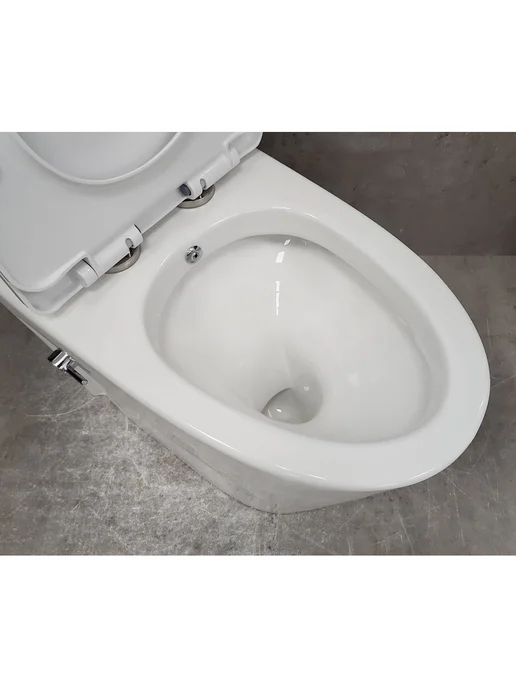 Bloomix Унитаз Mono MD5015SB моноблок безободковый с биде, вариант, фото 4
