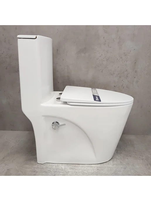 Bloomix Унитаз Mono MD5015SB моноблок безободковый с биде, вариант, фото 5