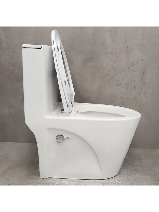 Bloomix Унитаз Mono MD5015SB моноблок безободковый с биде, вариант, фото 6