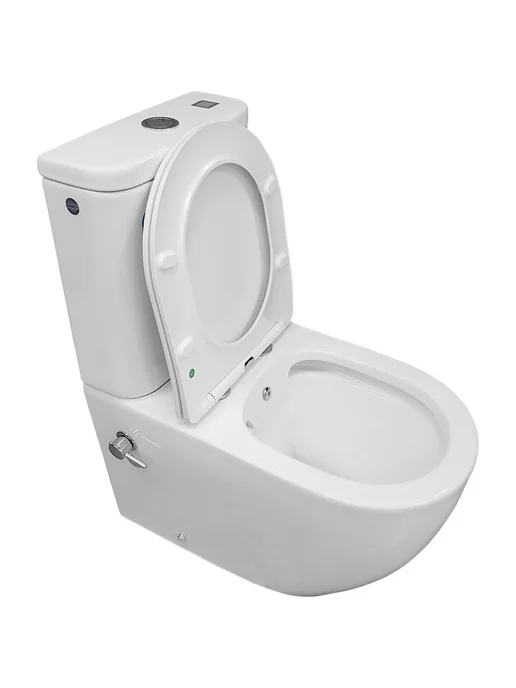 Bloomix Унитаз Major AD3089RSB UF1 Ceramic+ безободковый с биде, вариант