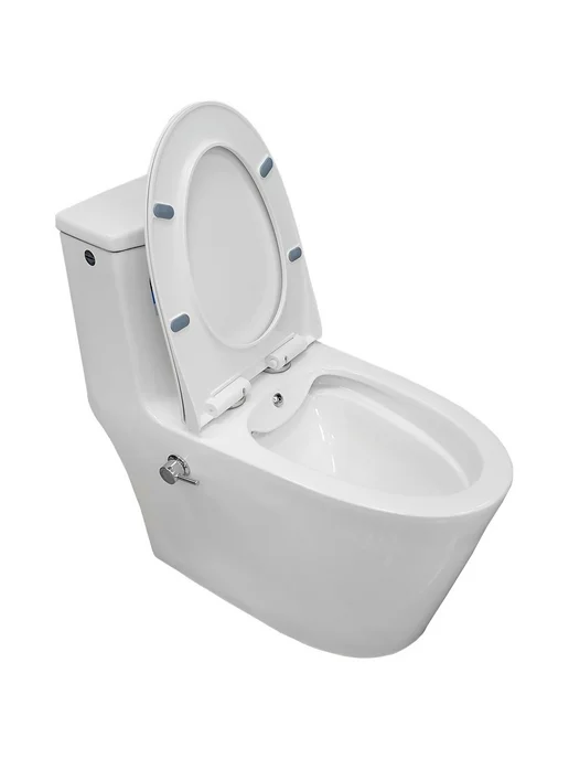 Bloomix Унитаз Lowe MT3101RSB UF1 Ceramic+ моноблок с биде, вариант