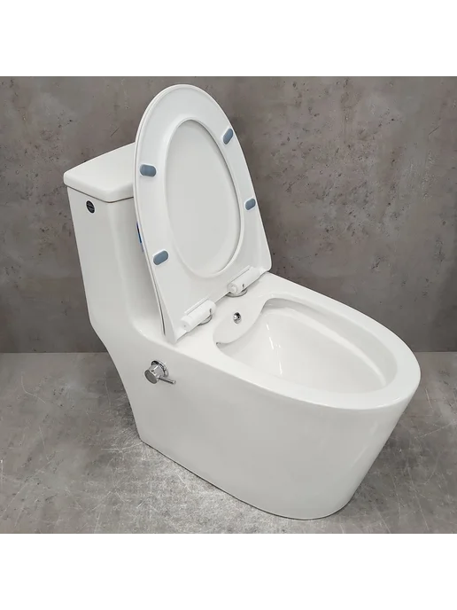 Bloomix Унитаз Lowe MT3101RSB UF1 Ceramic+ моноблок с биде, вариант, фото 2