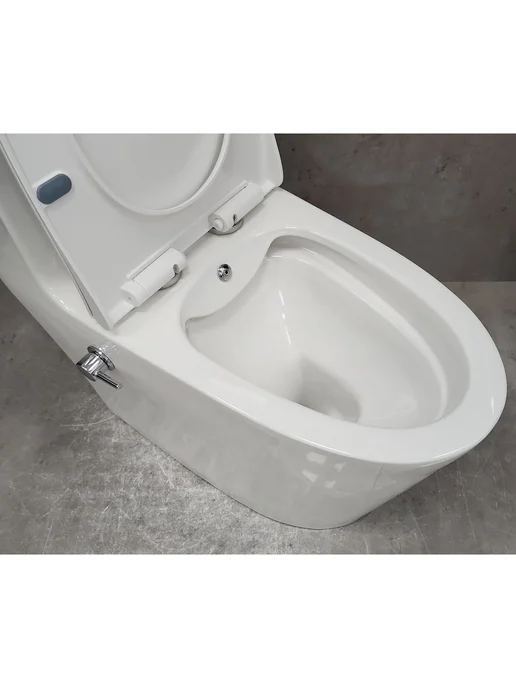 Bloomix Унитаз Lowe MT3101RSB UF1 Ceramic+ моноблок с биде, вариант, фото 4