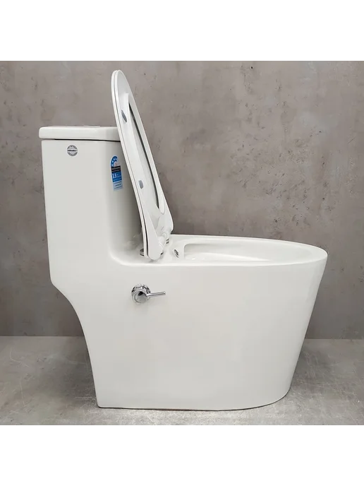 Bloomix Унитаз Lowe MT3101RSB UF1 Ceramic+ моноблок с биде, вариант, фото 6