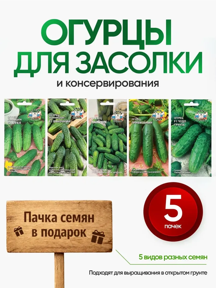 Набор семян огурцов для консервирования и засолки