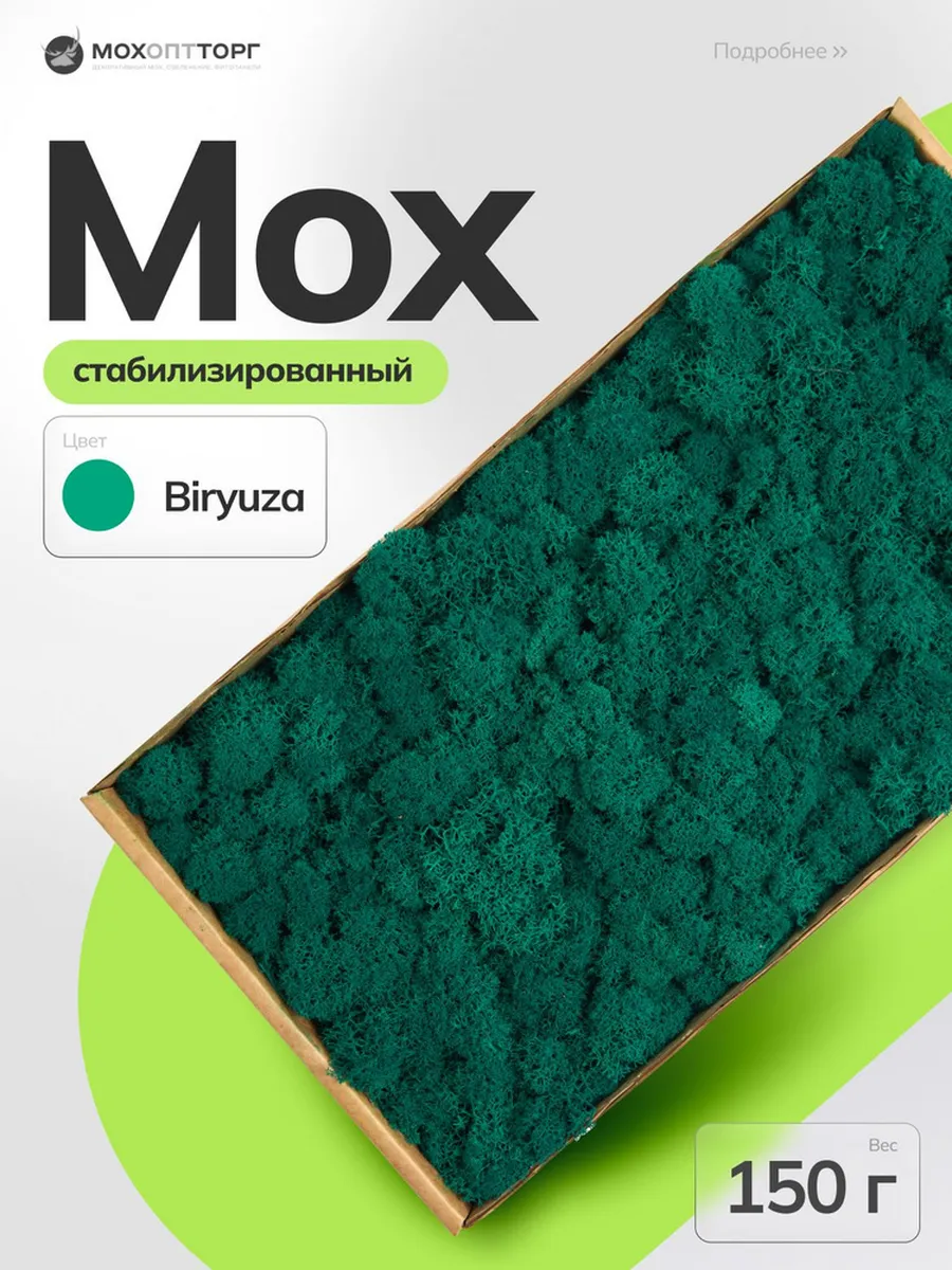 Мох стабилизированный Бирюза 150 гр