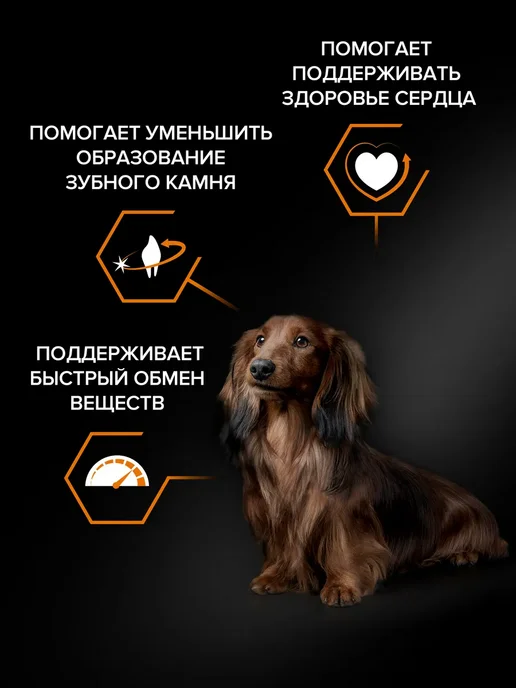 Сухой корм PRO PLAN для собак, взрослые, курица, 0,7 кг, фото 4
