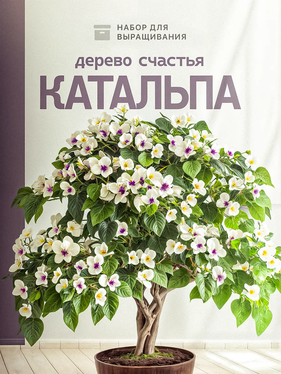 Набор для выращивания Катальпа Орхидейное дерево счастья