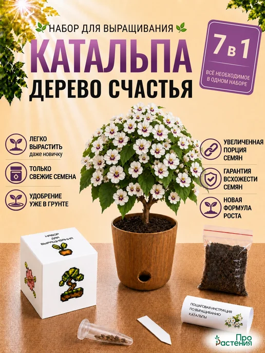 Про Растения Набор для выращивания растений Бамбук, вариант