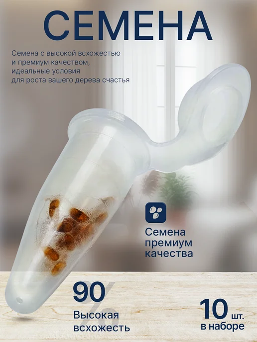Про Растения Набор для выращивания растений Бамбук, вариант, фото 3