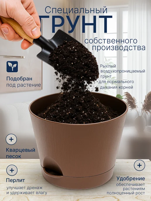 Про Растения Набор для выращивания растений Бамбук, вариант, фото 4