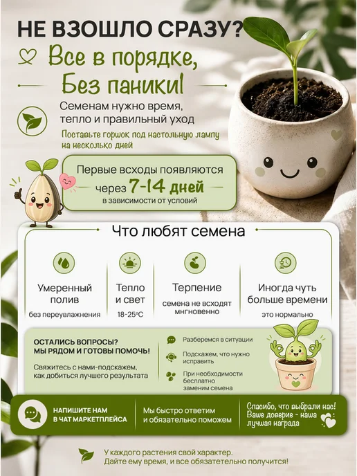 Про Растения Набор для выращивания растений Бамбук, вариант, фото 8
