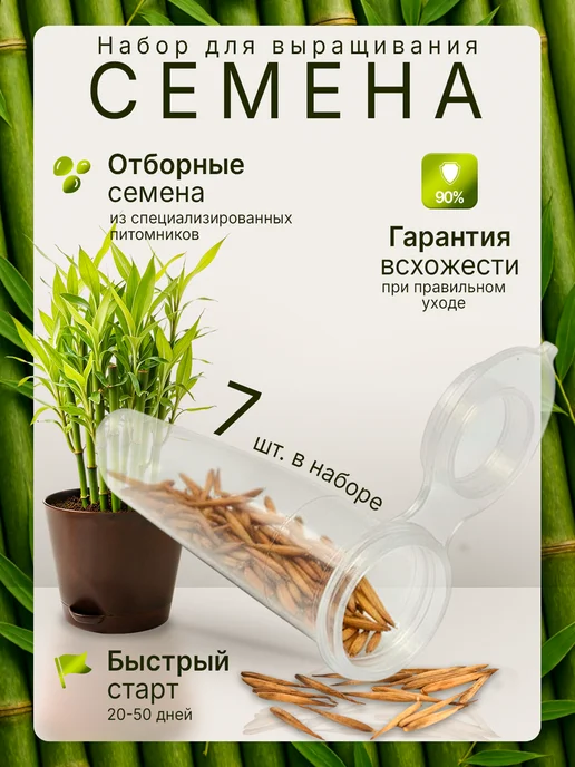 Про Растения Набор для выращивания растений Бамбук, вариант, фото 3
