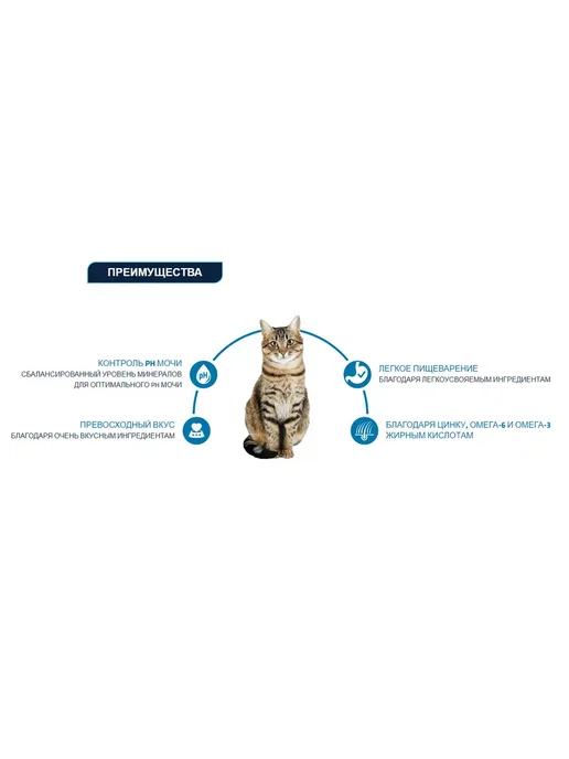 Сухой корм Advance Кошек для собак, взрослые, 3 кг, фото 4