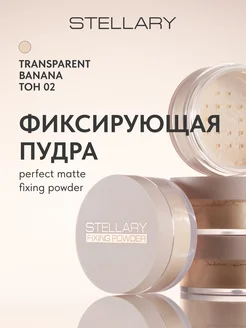 Пудра для лица рассыпчатая Perfect matte тон 02, 5г Stellary