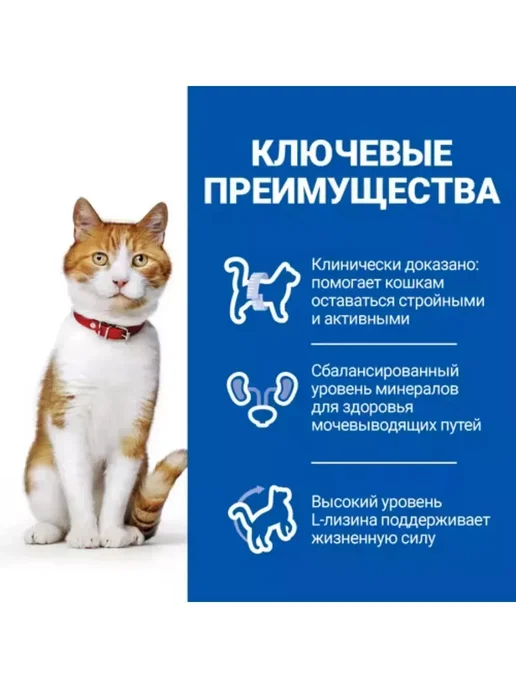 Сухой корм HILL'S Кошек для собак, стерилизованные, 3 кг, фото 4