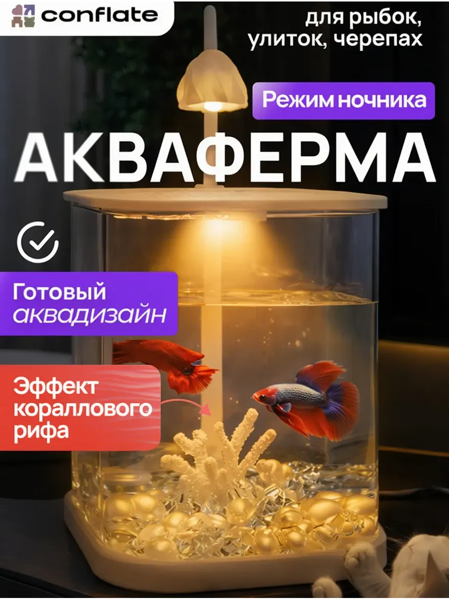 Аквариум-ночник для рыбок и петушка