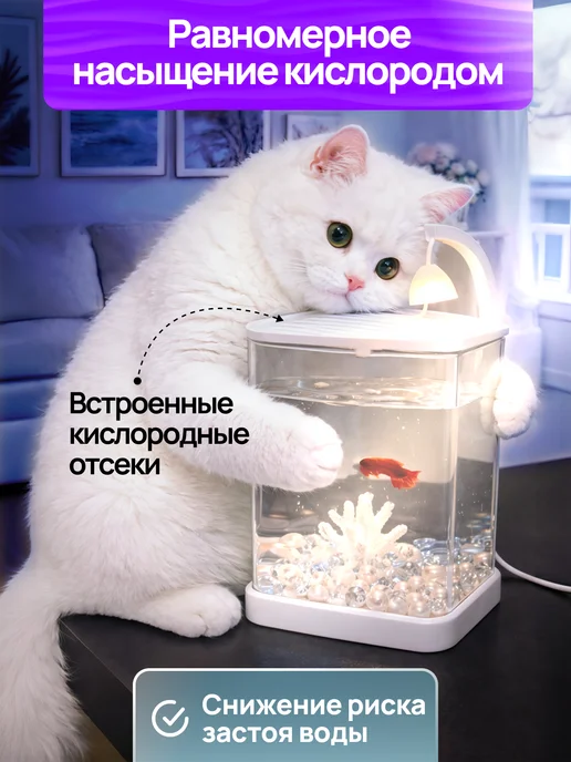 Conflate Аквариум-ночник для рыбок и петушка, вариант, фото 4