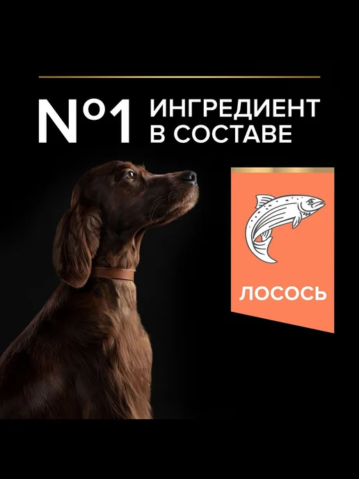 Сухой корм PRO PLAN Skin для собак, чувствительное пищеварение, 14 кг, фото 2