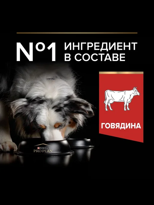 Сухой корм PRO PLAN Duo Delice для собак, 2,5 кг, фото 2