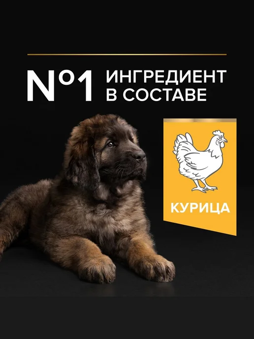 Сухой корм PRO PLAN Healthy Start для собак, щенки, 12 кг, фото 2