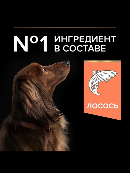 Сухой корм PRO PLAN Skin для собак, чувствительное пищеварение, 7 кг, фото 2