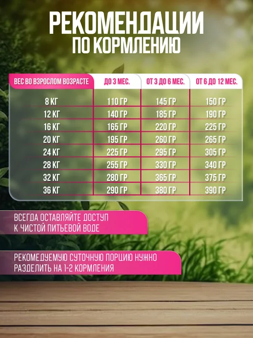 Сухой корм MEGLIUM для собак, щенки, 20 кг, фото 3