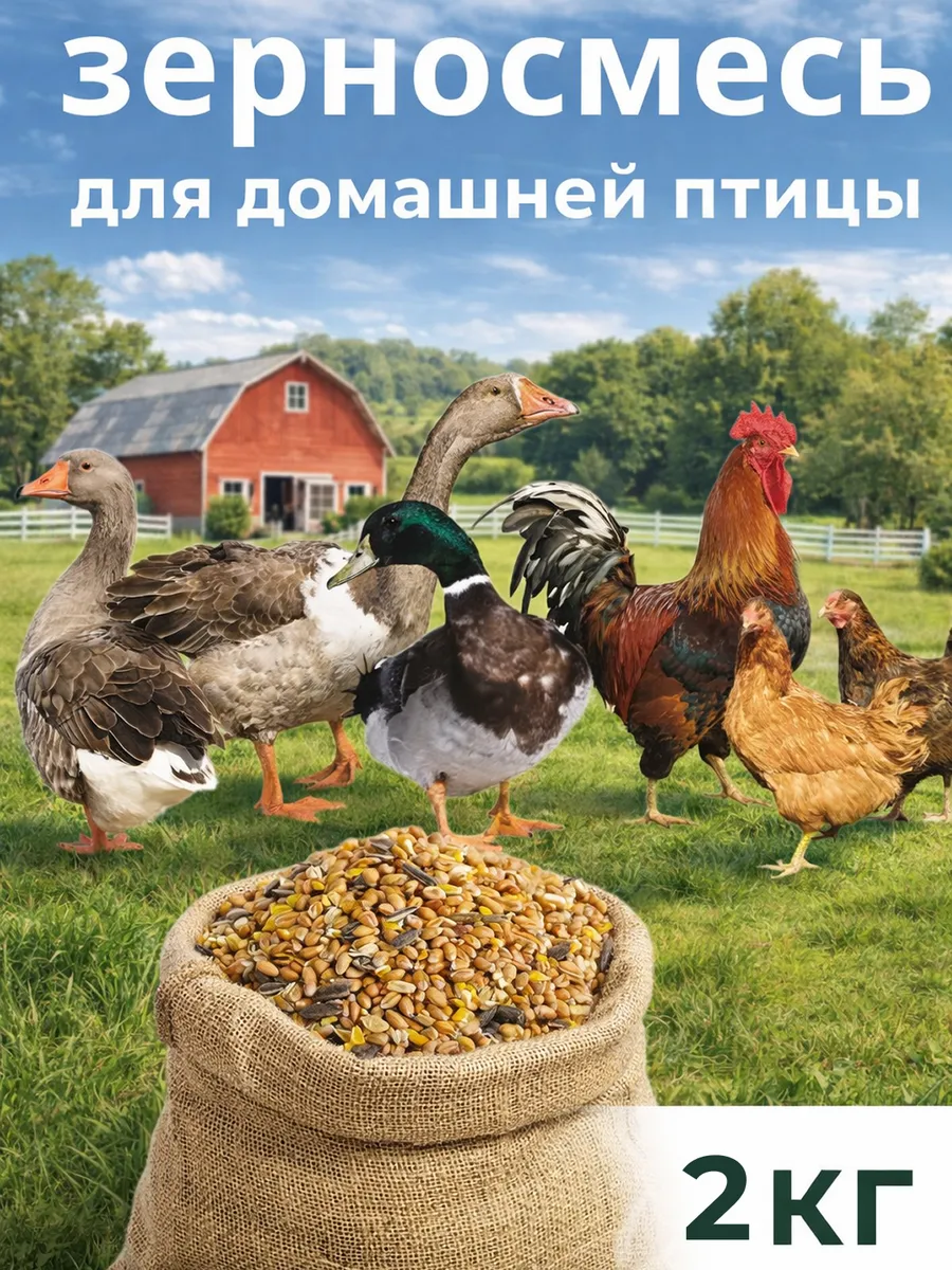 Зерносмесь для домашней птицы 2 кг