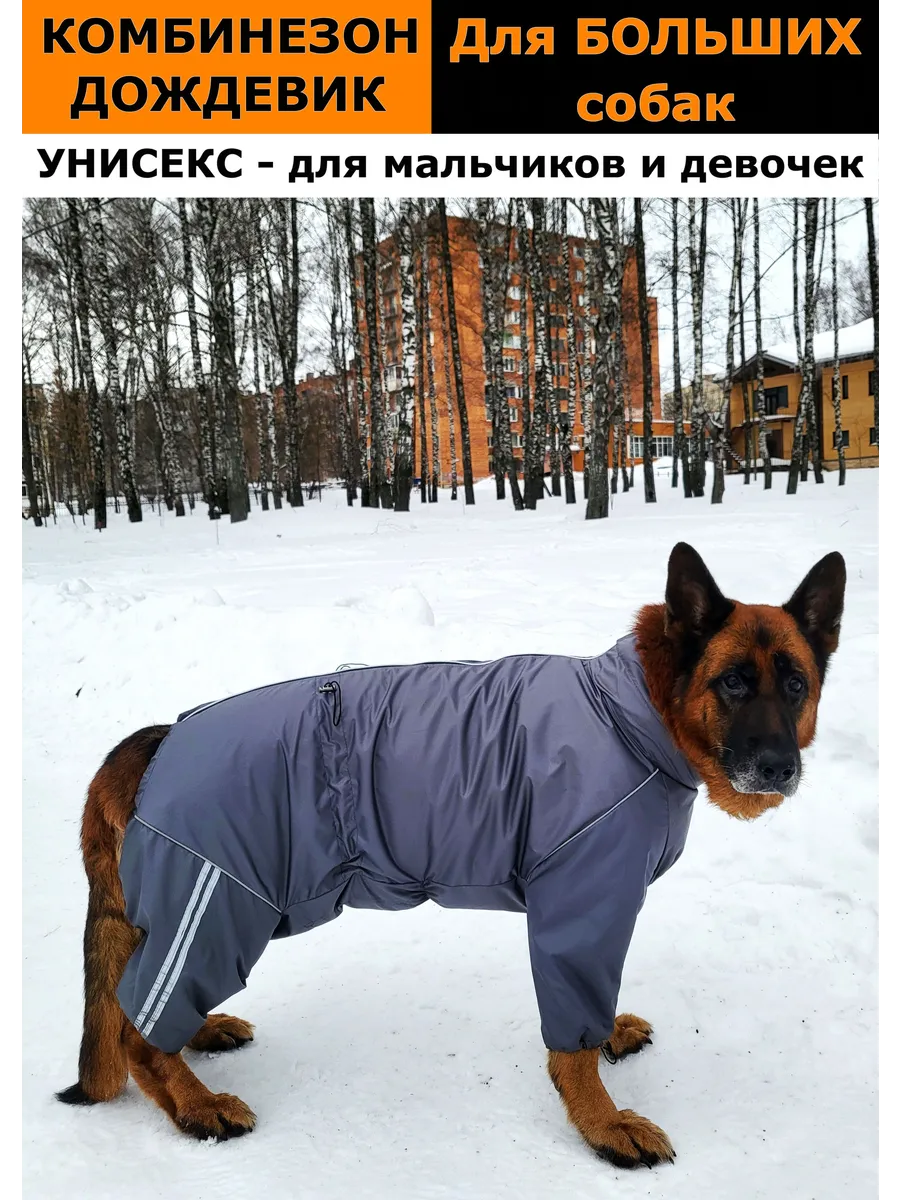 Дождевик для больших собак