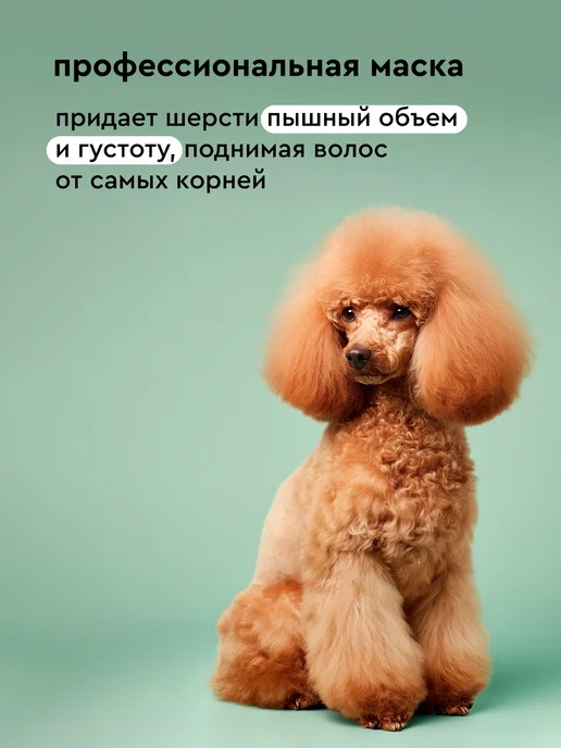 Pamilee Шампунь 1л, маска 500мл для собак для объема, 1 л, 500 мл, фото 2